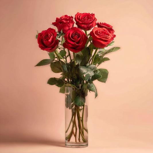 Half Dozen Bliss Roses - Color Varies