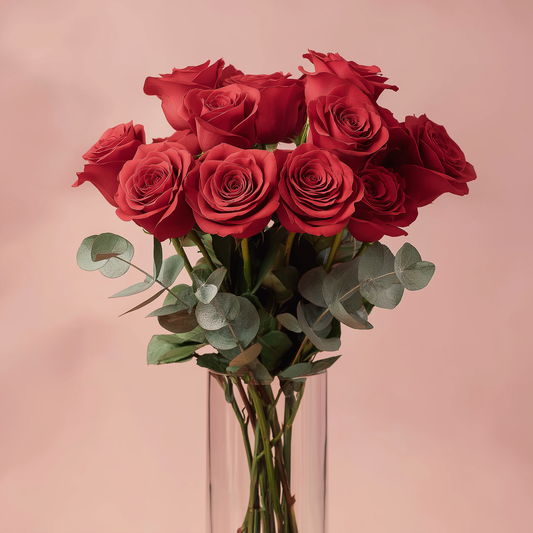 Premium Bliss Red Dozen Roses in Vase